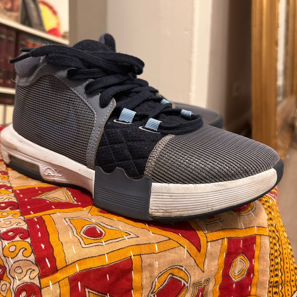 Nike LeBron Basketball Shoes